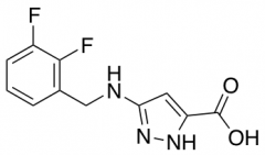 3-[(2,3-Difluorobenzyl)amino]-1H-pyrazole-5-carboxylic Acid