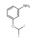 3-(Difluoromethoxy)aniline