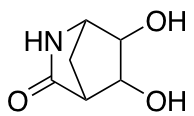 5,6-dihydroxy-3-azabicyclo[2.2.1]heptan-2-one