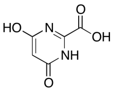 4,6-Dihydroxypyrimidine-2-carboxylic Acid