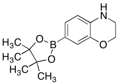3,4-Dihydro-2H-1,4-benzoxazine-7-boronic Acid Pinacol Ester