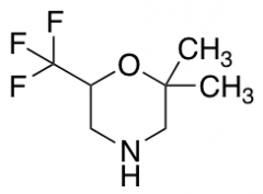 2,2-dimethyl-6-(trifluoromethyl)morpholine