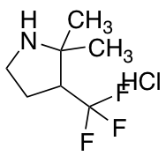 2,2-dimethyl-3-(trifluoromethyl)pyrrolidine hydrochloride