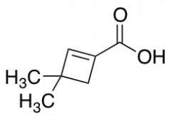 3,3-Dimethyl-1-cyclobutene-1-carboxylic Acid