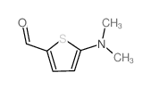 5-Dimethylamino-thiophene-2-carbaldehyde