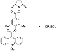 2&rsquo;,6&rsquo;-Dimethylcarbonylphenyl 10-Methyl-9-acridinecarboxylate 4&rsq