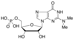 N,N-Dimethylguanosine 5'-Monophosphate