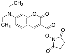 7-(Diethylamino)coumarin-3-carboxylic Acid N-Succinimidyl Ester