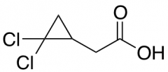 2-(2,2-dichlorocyclopropyl)acetic acid