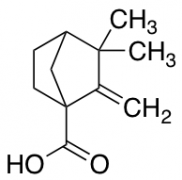 3,3-Dimethyl-2-methylenebicyclo[2.2.1]heptane-1-carboxylic Acid