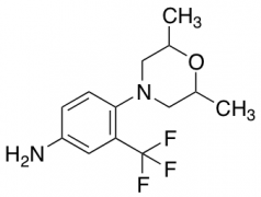 4-(2,6-Dimethylmorpholin-4-yl)-3-(trifluoromethyl)aniline