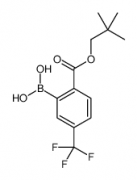 2,2-Dimethylpropyl-4'-(trifluoromethyl)benzoate-2'-boronic acid