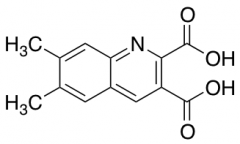 6,7-Dimethylquinoline-2,3-dicarboxylic Acid