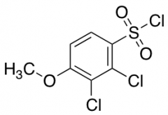 2,3-Dichloro-4-methoxybenzene-1-sulfonyl Chloride