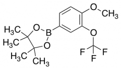 2-[4-Methoxy-3-(trifluoromethoxy)phenyl]-4,4,5,5-tetramethyl-1,3,2-dioxaborolane