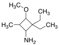 2,2-diethyl-3-methoxy-4-methylcyclobutan-1-amine