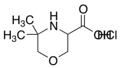 5,5-dimethylmorpholine-3-carboxylic Acid hydrochloride