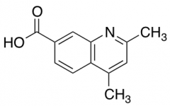 2,4-dimethylquinoline-7-carboxylic Acid