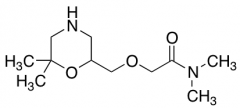 2-[(6,6-Dimethylmorpholin-2-yl)methoxy]-N,N-dimethylacetamide