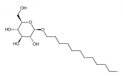 n-Dodecyl-beta-D-glucopyranoside