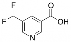 5-(difluoromethyl)pyridine-3-carboxylic acid