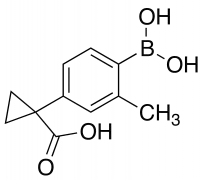 1-[4-(Dihydroxyboranyl)-3-methylphenyl]cyclopropane-1-carboxylic acid