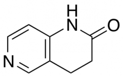 3,4-Dihydro-1,6-naphthyridin-2(1H)-one