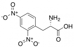 L-2,4-Dinitrophenylalanine