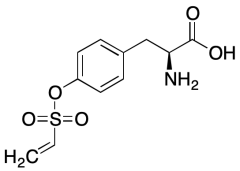 O-(Ethenylsulfonyl)-L-tyrosine