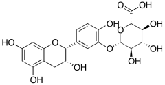 (-)-Epicatechin-3'-O-glucuronide