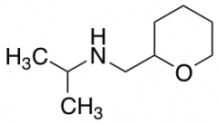 (oxan-2-ylmethyl)(propan-2-yl)amine