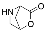 2-oxa-5-azabicyclo[2.2.1]heptan-3-one hydrochloride