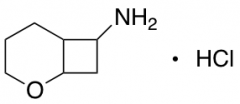 2-oxabicyclo[4.2.0]octan-7-amine hydrochloride