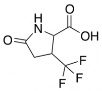 5-oxo-3-(trifluoromethyl)pyrrolidine-2-carboxylic Acid