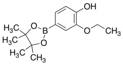 2-ethoxy-4-(4,4,5,5-tetramethyl-1,3,2-dioxaborolan-2-yl)phenol
