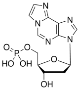 Etheno-2&rsquo;-deoxy-&beta;-D-adenosine 5&rsquo;-Monophosphate