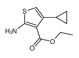 Ethyl 2-amino-4-cyclopropylthiophene-3-carboxylate
