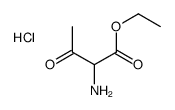 Ethyl 2-amino-3-oxobutanoate hydrochloride