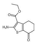 Ethyl 2-amino-7-oxo-4,5,6,7-tetrahydro-1-benzothiophene-3-carboxylate