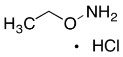 Ethoxyamine Hydrochloride