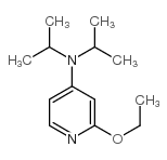 2-Ethoxy-4-(N,N-diisopropyl)aminopyridine