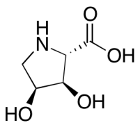 (3S,4R)-rel- 3,4-Dihydroxy-D-proline