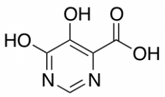 5,6-Dihydroxy-pyrimidine-4-carboxylic acid
