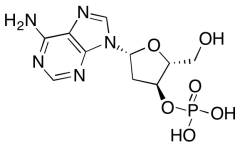 2'-​Deoxy-3'-​adenylic Acid