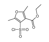 Ethyl 4-(chlorosulphonyl)-2,5-dimethyl-3-furoate