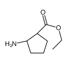 Ethyl (1S,2R)-2-aminocyclopentanecarboxylate