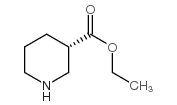 Ethyl (3R)-piperidine-3-carboxylate