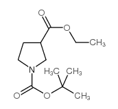 Ethyl 1-BOC-3-pyrrolidinecarboxylate