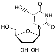 5-Ethynyluridine
