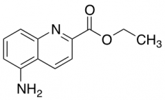 Ethyl 5-Aminoquinoline-2-carboxylate